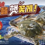 “비싸서 못 먹었는데”…이젠 단돈 992원? 대형마트, 햇꽃게 ‘초저가 전쟁’ 돌입 6