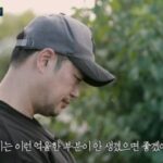 “차까지 팔았다”… 양치승 헬스장 폐업이 남긴 경고 4